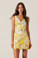 Aisha Floral Appliqu茅 Mini Dress