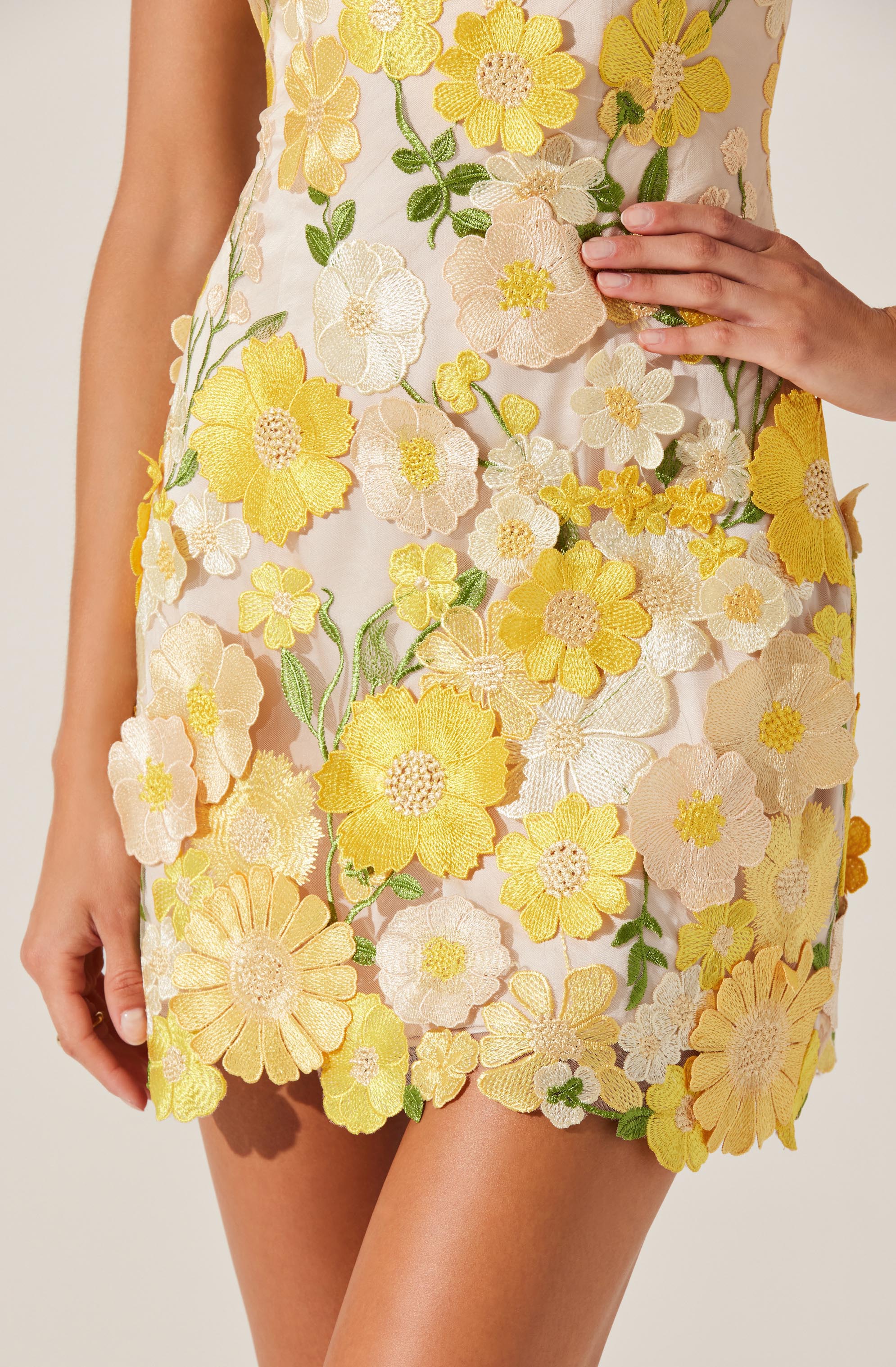 Aisha Floral Appliqu茅 Mini Dress