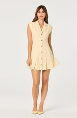 Diannie Tweed Mini Dress