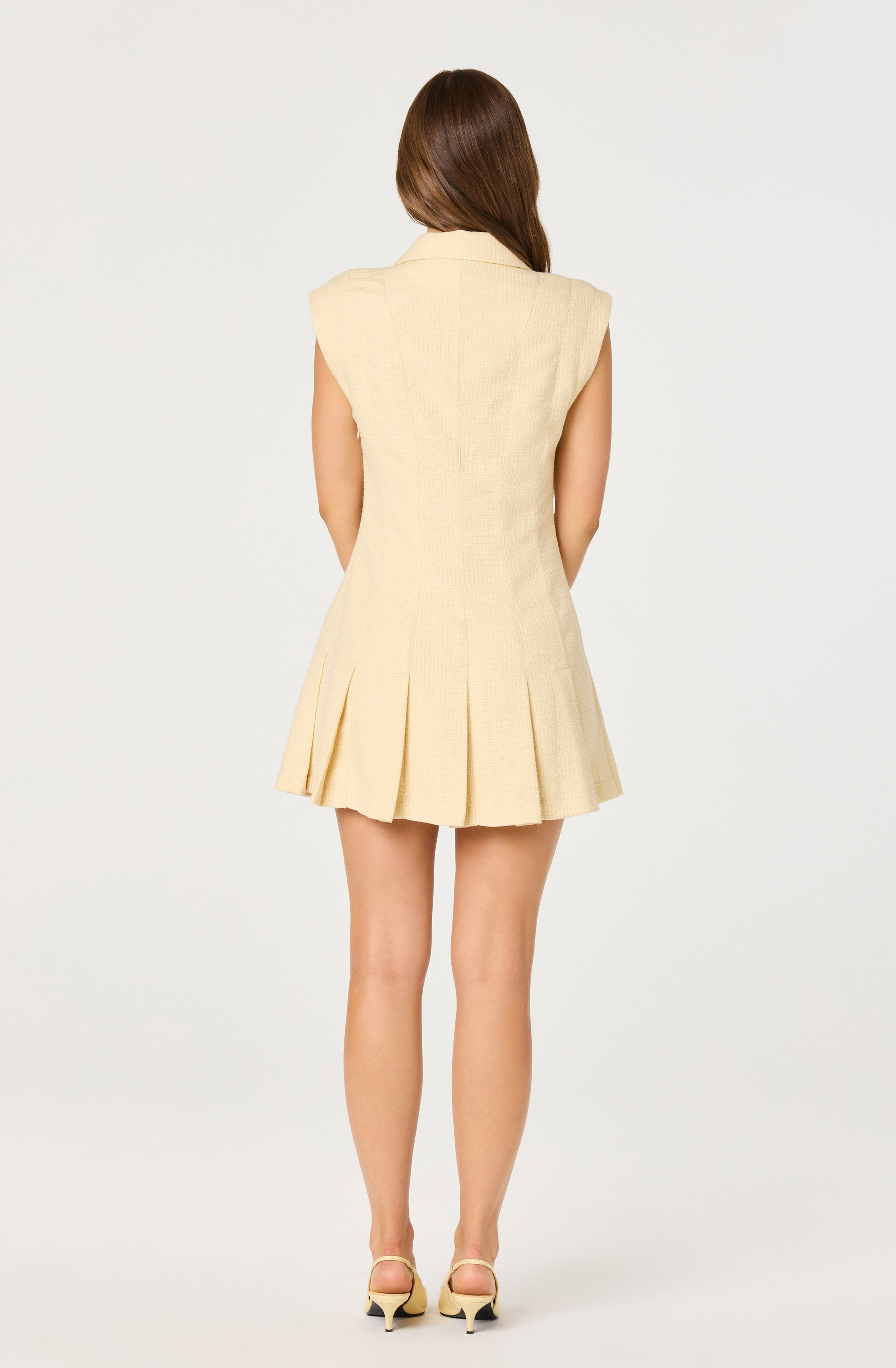 Diannie Tweed Mini Dress