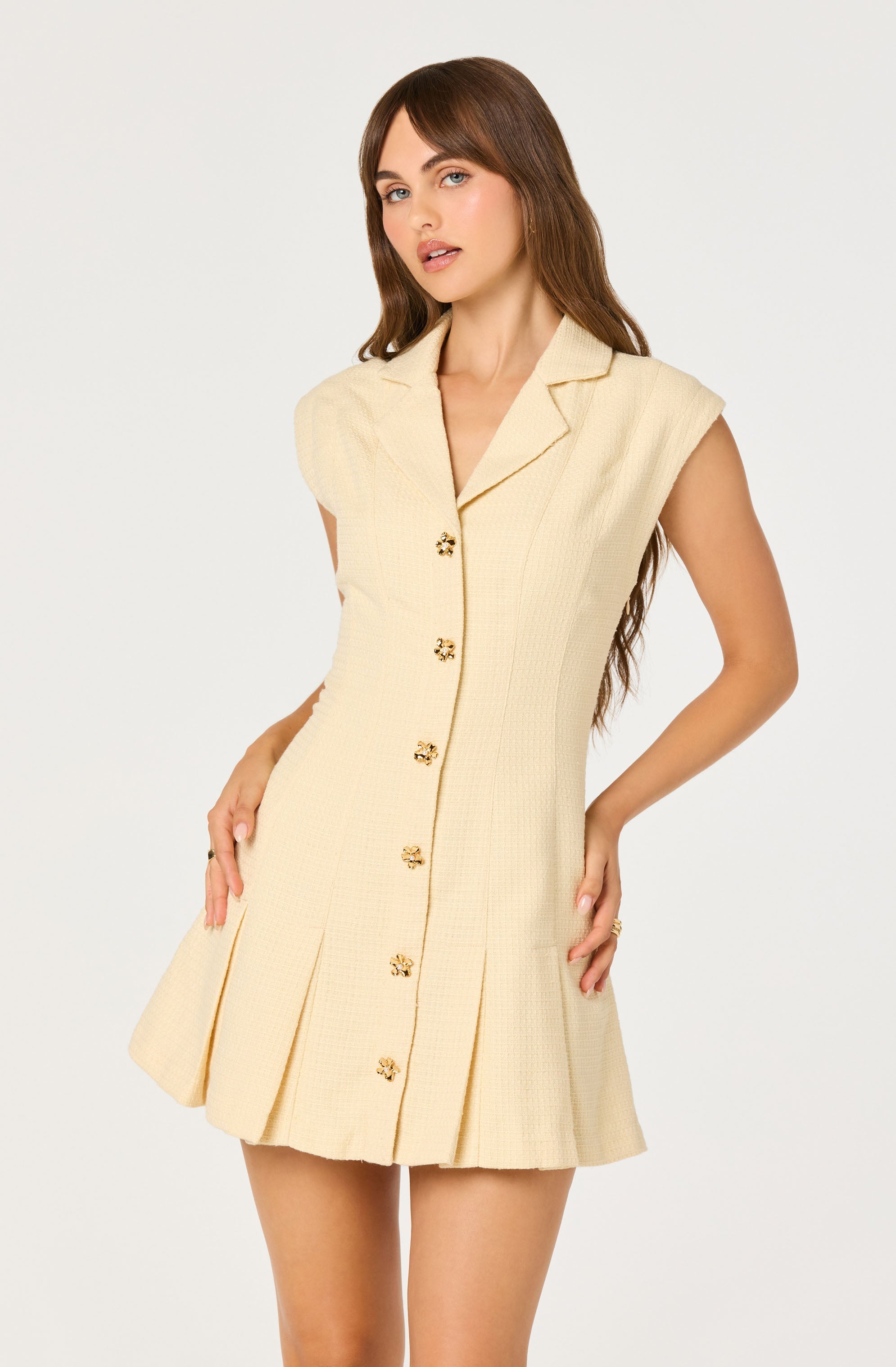Diannie Tweed Mini Dress