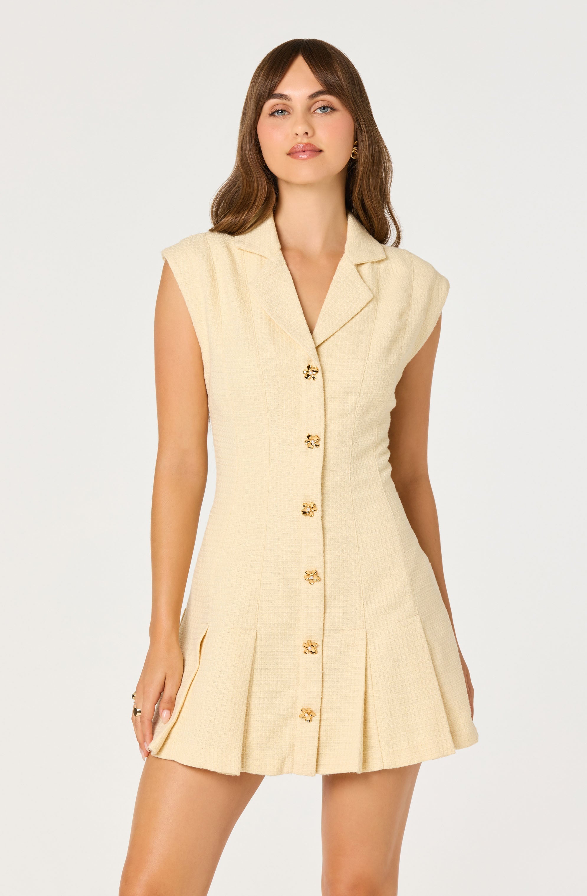 Diannie Tweed Mini Dress