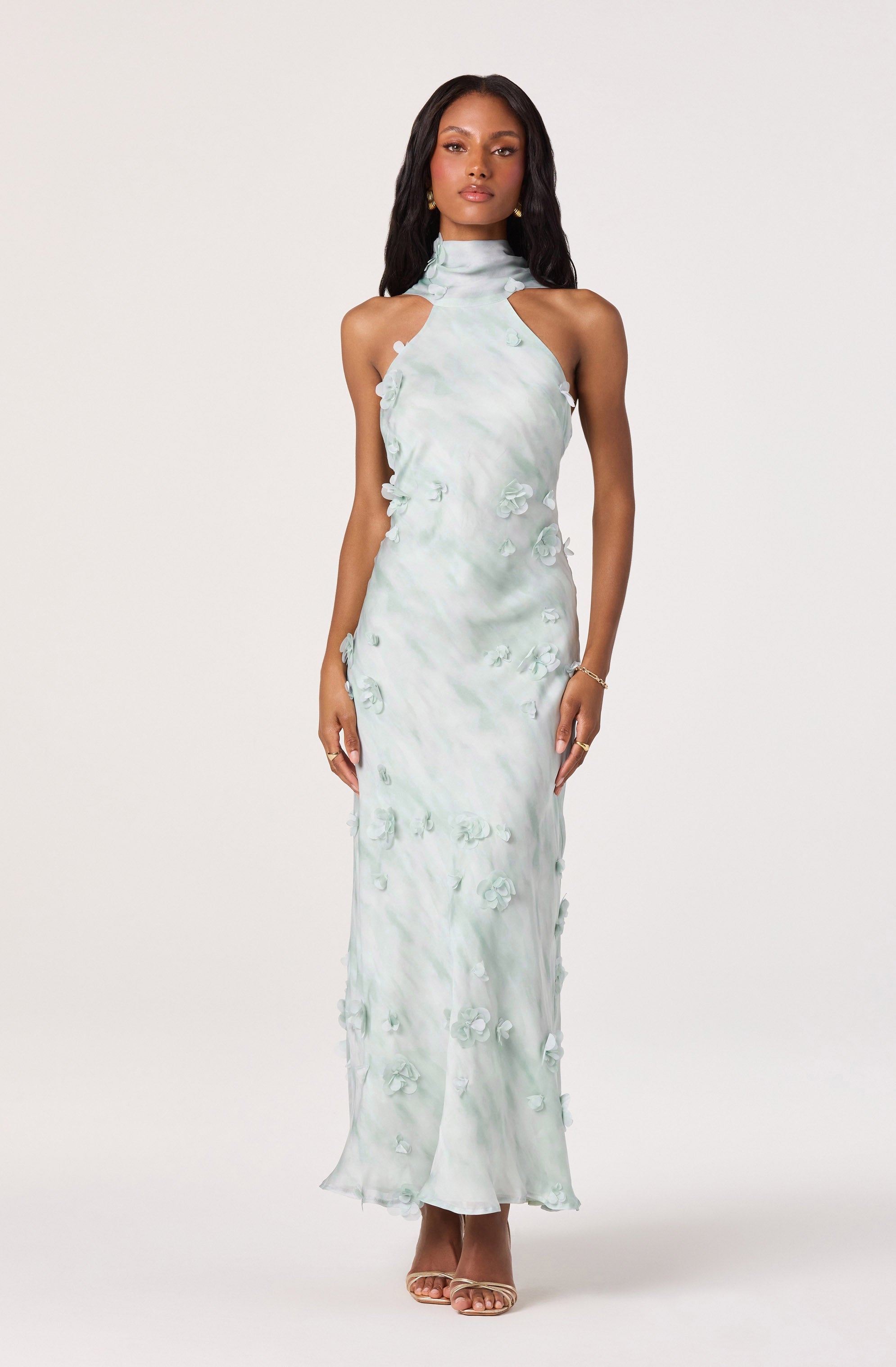 Ashley 3D Floral Maxi Dress