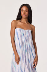 Aileen Strapless Maxi Dress