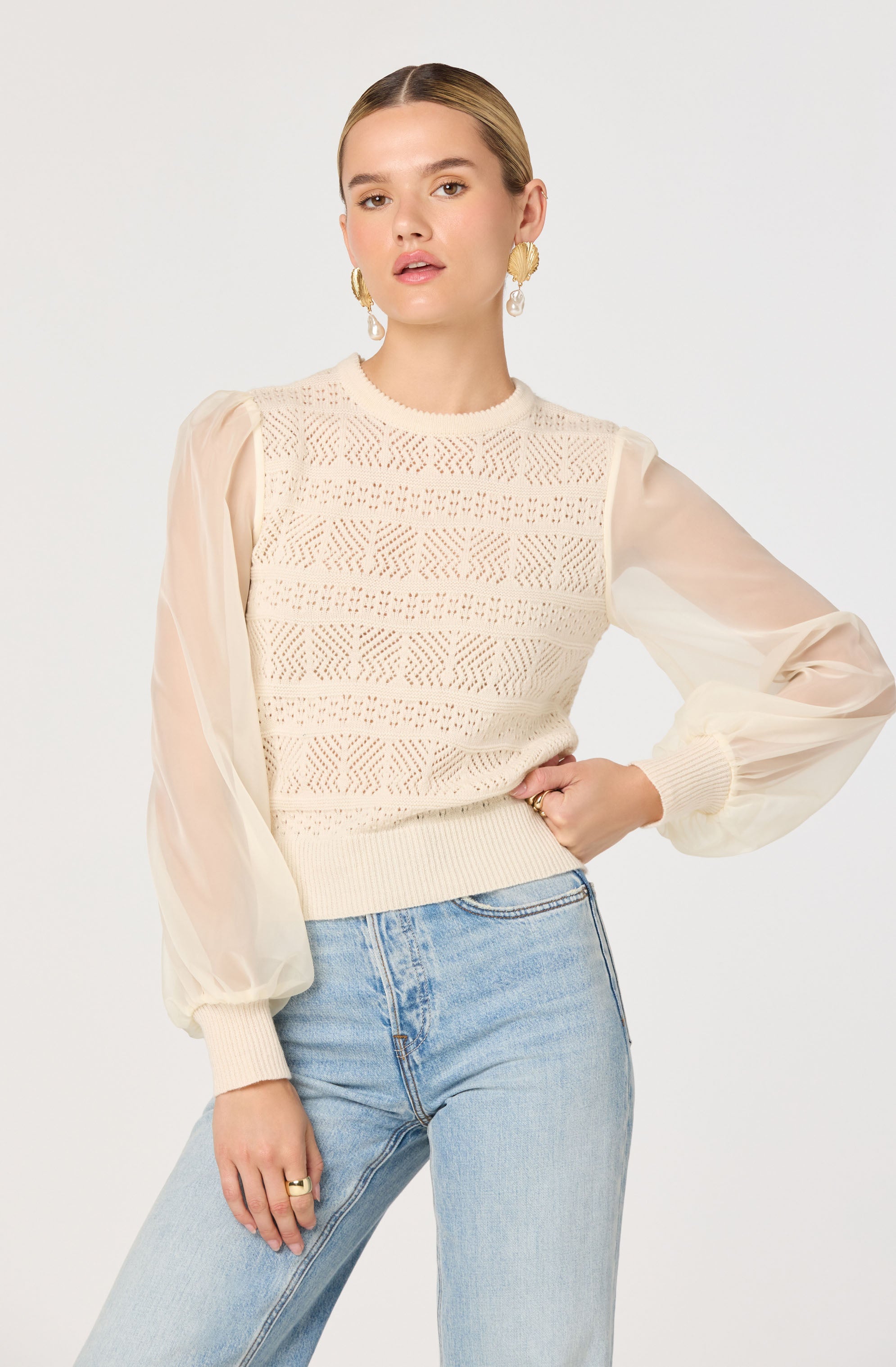 Ann Crochet Knit Balloon Sleeve Sweater