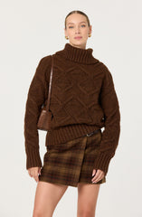 Janeth Diamond Knit Turtleneck Sweater